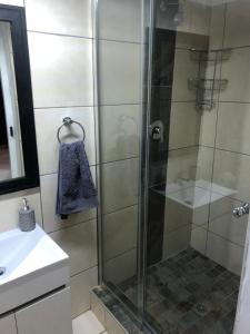 a shower with a glass door next to a sink at Impunzi Place in Kloof
