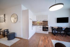 Kuchyň nebo kuchyňský kout v ubytování Apartmán U řeky + 22 fotografií