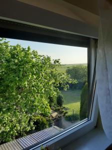 Φυσικό τοπίο κοντά σε αυτό το διαμέρισμα