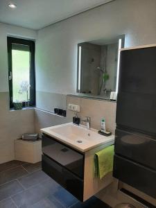 a bathroom with a sink and a mirror at Ferienwohnung Schäffer in Regensburg