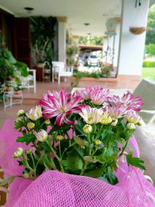 Zahrada ubytování B&B Il Cantico
