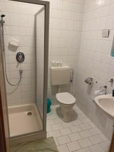a bathroom with a shower and a toilet and a sink at Gästehaus Fischer Rohrendorf in Rohrendorf bei Krems +8 photos