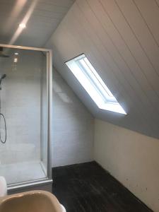 a bathroom with a shower and a skylight at Haus Lowe in Senheim