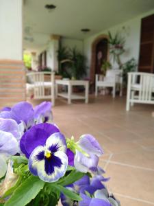 Fotografie z fotogalerie ubytování B&B Il Cantico v destinaci Greccio