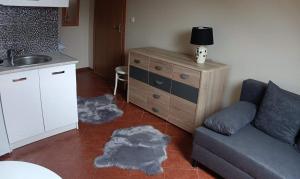 a living room with a couch and a sink at Romir Pokoje Bardzo Gościnne in Sztutowo +79 photos