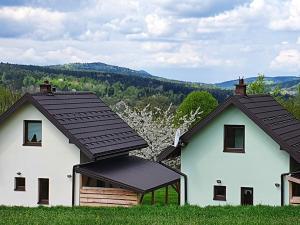 two white houses with black roofs with mountains in the background at Domki w Nowicy in Nowica