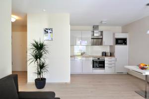 a kitchen with white cabinets and a potted plant at Linden-Palais Wohnung 10 in Heiligendamm