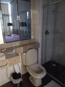y baño con aseo, lavabo y ducha. en Alzira Plaza Hotel, en São Lourenço