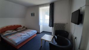 um quarto com uma cama, uma cadeira e uma televisão em Chata Ořovský em Železná Ruda