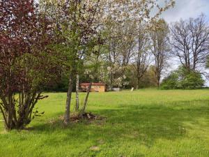 Fotografie z fotogalerie ubytování Mobilní dům v destinaci Dolní Dvořiště