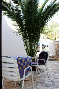 two chairs and a table and a palm tree at Josip 1 Gajac in Novalja +5 photos