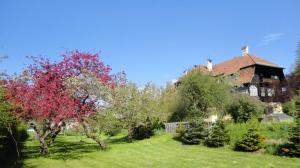 Zahrada ubytování Zeilinger Villa