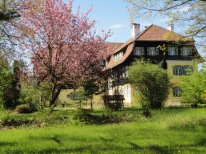 Zahrada ubytování Zeilinger Villa