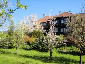 Zahrada ubytování Zeilinger Villa