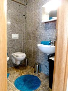 a bathroom with a toilet and a sink at Apartment Allegra in Banjole