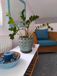 Posedenie v ubytovaní Kamilla Apartman Villapark