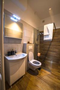 a bathroom with a toilet and a sink and a shower at Apartmaji Prton Bovec in Bovec