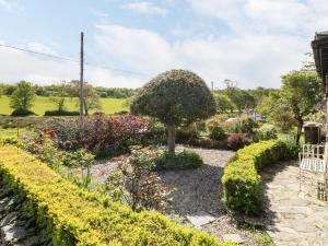 Gallery image of 3 Cae'r llwyn Cottages in Caernarfon