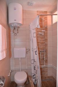 a bathroom with a toilet and a shower at APARTMANI STARI GRAD PRIBOJ in Priboj