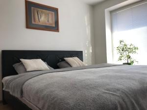 Un pat sau paturi într-o cameră la Apartman Emka 2