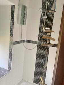 a bathroom with a shower with a shower head at The Old Stables in Swansea