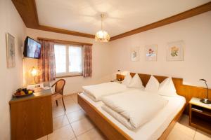 TV a/nebo společenská místnost v ubytování Hotel Landgasthof Hirschen