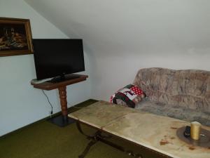 ein Wohnzimmer mit einem Sofa und einem Tisch mit einem TV in der Unterkunft Ferienwohnung Dorothea in Lenzkirch