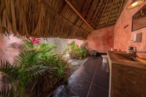 帕洛米诺Casa Chapolin Boutique Guesthouse的浴室设有水槽和一些植物