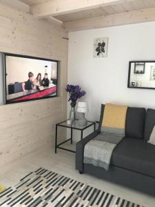 Televízia a/alebo spoločenská miestnosť v ubytovaní Angelit Stúdió Apartman + 16 fotografií