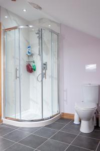 a bathroom with a shower and a toilet at Creeghduff Lodge in Downpatrick