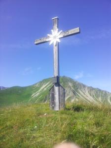 Przyroda w pobliżu tego apartamentu