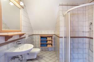 ein Bad mit einem Waschbecken und einem WC in der Unterkunft Apartments Tourist farm Matijovc in Naklo