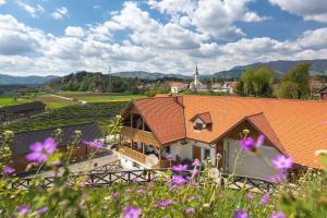 Gallery image of Apartments Tourist farm Matijovc in Naklo