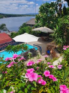 a resort with a pool and umbrellas and pink flowers at Cozy Kosmos in Hartbeespoort