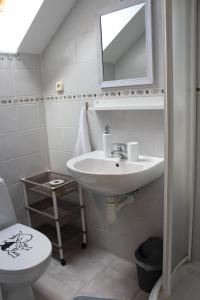 ein Badezimmer mit einem Waschbecken, einem WC und einem Spiegel in der Unterkunft Villa LIKE "garden-grill" in Bardejov