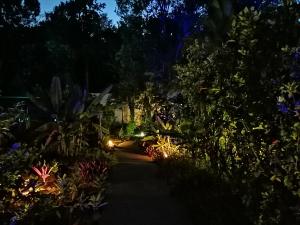 un jardín por la noche con luces en el camino en Blue Kaz Caraïb, en Pointe-Noire