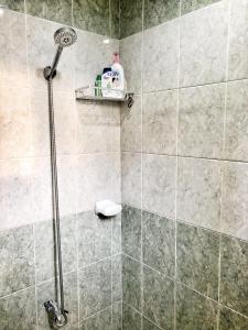 a shower with a shower head in a bathroom at Matilde’s Sanctuary Bed & Breakfast in Dampol