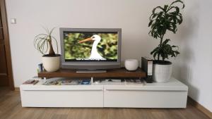 Un televisor en una cómoda blanca con un pato. en Ferienwohnung Spreewald Betty en Werben