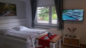 Un dormitorio con una cama, un televisor y una mesa. en Appartement An der Radau, en Bad Harzburg