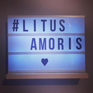 Kép Litus Amoris szállásáról Szidáriban a galériában