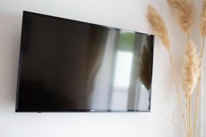 TV a/nebo společenská místnost v ubytování Dodo Apartments