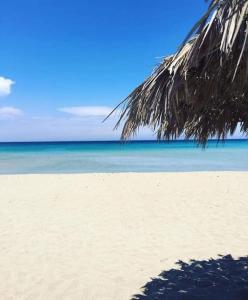 Příroda nedaleko prázdninového domu