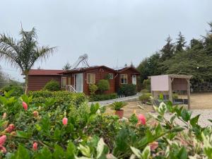una casa con muchas plantas delante de ella en Villarreal Lodge Hotel Ecológico en Totolapan