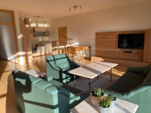TV a/nebo společenská místnost v ubytování VIII Panorama-Ferienwohnung Petzenblick
