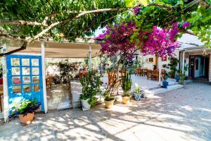 a patio with plants and flowers in pots at Eucalyptus Pension in Patara