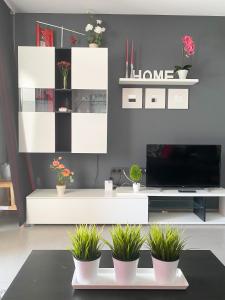 uma sala de estar com televisão e vasos de plantas em OASIS BEACH apartments em Alicante