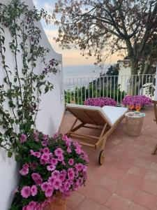 eine Terrasse mit rosa Blumen und einer Bank in der Unterkunft Villa Fortuna in Positano