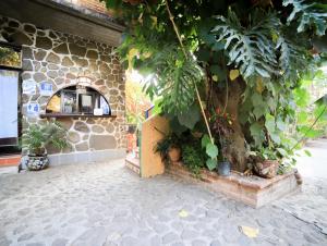 Fotografie z fotogalerie ubytování Posada Bugambilias v destinaci Tepoztlán