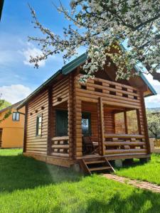 una baita di tronchi in un campo con un albero di Guest house Green Garden a Mojkovac