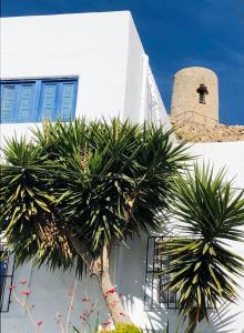 una palmera frente a un edificio blanco con una torre en Damajuana, en Níjar